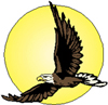 adler